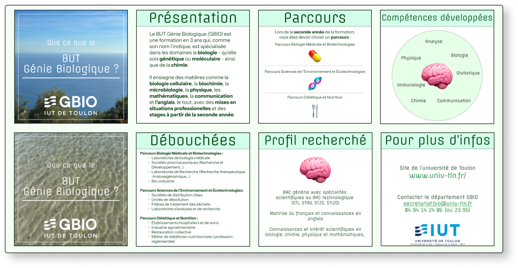 Tableau d'images du post instagram de la publicité pour le département Génie Biologique de l'Université de Toulon