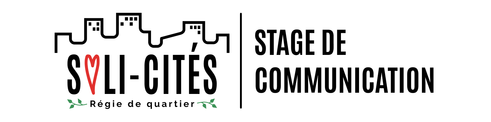 STAGE CHEZ SOLI-CITÉS